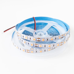 Светодиодная лента 5050 60LED/M 12V IP33