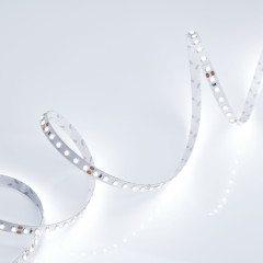 Светодиодная Лента RT 2-5000 24V Cool 8K 2x (3528, 600 LED, LUX) (Arlight, 9.6 Вт/м, IP20)