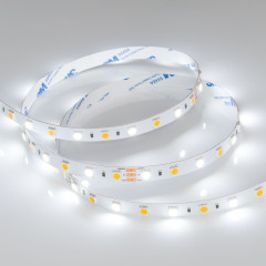 Светодиодная Лента RT 6-5000 24V White-MIX 2x (5060, 60 LED/m, LUX) (Arlight, Изменяемая ЦТ)