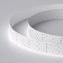 Светодиодная Лента RT 2-2500 24V White6000 5x2 (2835, 875 LED, LUX) (Arlight, 36 Вт/м, IP20)