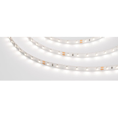 Светодиодная Лента RT 2-5000-50m 24V Day4000 (3528, 60 LED/m, LUX) (Arlight, 4.8 Вт/м, IP20)