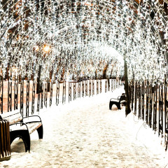 Светодиодная гирлянда ARD-EDGE-CLASSIC-2400x600-WHITE-88LED-PULSE Warm (230V, 6W) (Ardecoled, IP65)