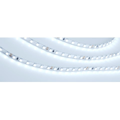 Светодиодная Лента RT 2-5000 24V Cool 15K 5mm 2x (3528, 600 LED, LUX) (Arlight, 9.6 Вт/м, IP20)