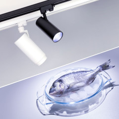 Светильник LGD-ZEUS-4TR-R88-20W Cool SP7500-Fish (BK, 20-60 deg, 230V) (Arlight, IP20 Металл, 3 года)