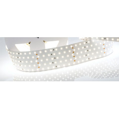 Светодиодная Лента RT 2-2500 24V White6000 5x2 (2835, 875 LED, LUX) (Arlight, 36 Вт/м, IP20)
