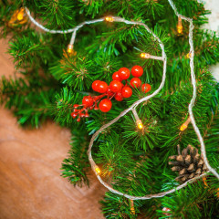 Светодиодная гирлянда ARD-CURTAIN-HOME-2000x2500-CLEAR-300LED White (230V, 12W) (Ardecoled, IP20)