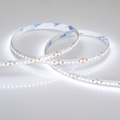 Светодиодная Лента RT6-3528-180 24V White6000 3x (900 LED) (Arlight, 14.4 Вт/м, IP20)