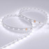 Светодиодная Лента RT 2-5000 24V White6000 (3528, 300 LED, LUX) (Arlight, 4.8 Вт/м, IP20)