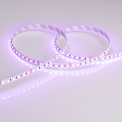 Светодиодная Лента RT 2-5000 24V RGB 8mm (3838, 120 LED/m, LUX) (Arlight, 11 Вт/м, IP20)