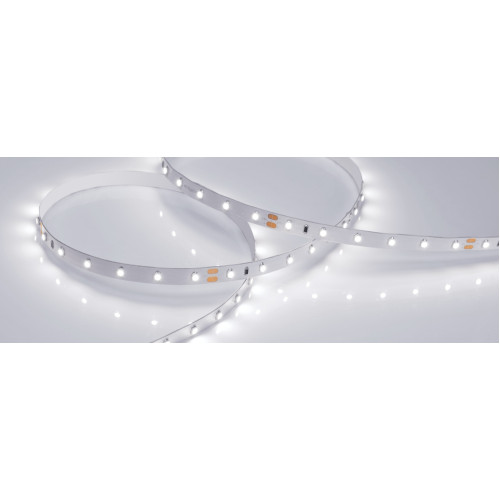 Светодиодная Лента RT 2-5000 24V White6000 (3528, 300 LED, LUX) (Arlight, 4.8 Вт/м, IP20)