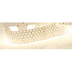 Светодиодная Лента RT 2-2500 24V Warm3000 5x2 (2835, 875 LED, LUX) (Arlight, 36 Вт/м, IP20)