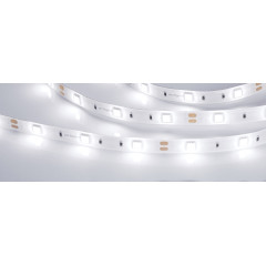 Светодиодная Лента герметичная RTW-SE-B30-10mm 12V White6000 (7.2 W/m, IP65, 5060, 5m) (Arlight, 7.2 Вт/м, IP65)