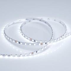 Светодиодная Лента RT 2-5000 24V Cool 8K 5mm 2x (3528, 600 LED, LUX) (Arlight, 9.6 Вт/м, IP20)