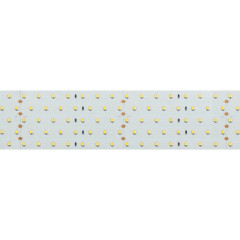 Светодиодная Лента RT 2-2500 24V Day4000 5x2 (2835, 875 LED, LUX) (Arlight, 36 Вт/м, IP20)