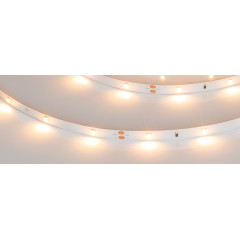Светодиодная Лента RT-A30-8mm 24V Warm2400 (2.9 W/m, IP20, 2835, 5m) (Arlight, Открытый)