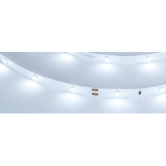 Светодиодная Лента RT 2-5000 24V White6000 0.5x (3528, 150 LED, LUX) (Arlight, 2.9 Вт/м, IP20)