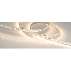 Светодиодная Лента IC-A60-10mm 24V Warm2700 (4.8 W/m, IP20, 3528, 20m) (Arlight, 4.8 Вт/м, IP20)