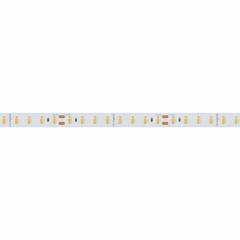 Лента RTW-5000SC 24V Cool SP7500-Fish 10mm (2835, 112 LED/m, SHOP) (Arlight, Открытый)
