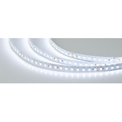 Лента RTW-5000SC 24V Cool SP7500-Fish 10mm (2835, 112 LED/m, SHOP) (Arlight, Открытый)