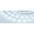 Светодиодная Лента ULTRA-5000 12V Cool 8K (5630, 150 LED, LUX) (Arlight, 12 Вт/м, IP20)