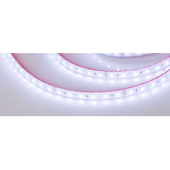 Светодиодная Лента герметичная RTW-PS-B60-12mm 24V RGB (14.4 W/m, IP67, 5060, 50m) (Arlight, 14.4 Вт/м, IP67)