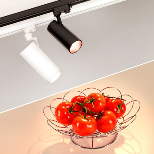 Светильник LGD-GERA-4TR-R74-20W Warm SP3000-Fruit (WH, 24 deg, 230V) (Arlight, IP20 Металл, 3 года)