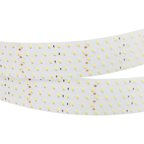Светодиодная Лента RT 2-2500 24V White6000 5x2 (2835, 875 LED, LUX) (Arlight, 36 Вт/м, IP20)