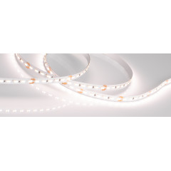 Светодиодная Лента MICROLED-5000 24V White-CDW 8mm (2216, 240 LED/m, Bipolar) (Arlight, 9.6 Вт/м, IP20)