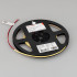 Светодиодная Лента COB-X480-4mm 24V White6000 (4 W/m, IP20, CSP, 3.5m) (Arlight, -)