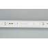 Светодиодная Лента RT-20000 24V White6000 (3528, 60 LED/m, 20m) (Arlight, 4.8 Вт/м, IP20)