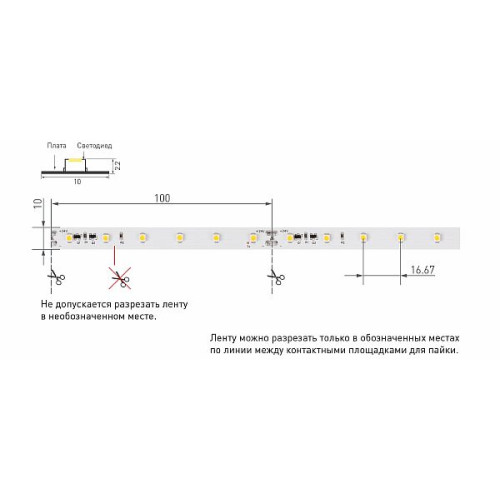 Светодиодная Лента RT-20000 24V White6000 (3528, 60 LED/m, 20m) (Arlight, 4.8 Вт/м, IP20)