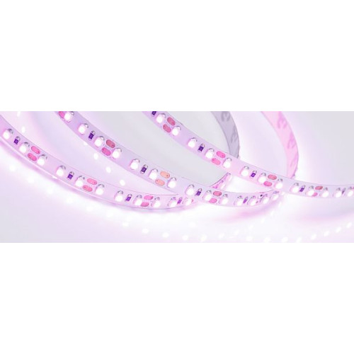 Светодиодная Лента RT-A120-8mm 12V Pink (9.6 W/m, IP20, 2835, 5m) (Arlight, Открытый)