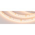 Светодиодная лента Лента RT-A120-8mm 24V Warm3000 CRI98 (14.4 W/m, IP20, 2835, 5m) (Arlight, Открытый)