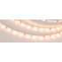 Светодиодная Лента RT-A60-5mm 12V Warm2400 (4.8 W/m, IP20, 2835, 5m) (Arlight, узкая)