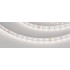Светодиодная Лента RT-A80-8mm 24V Day5000 (6 W/m, IP20, 2835, 50m) (Arlight, 6 Вт/м, IP20)