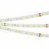 Светодиодная Лента RT-A80-8mm 24V White6000 (6 W/m, IP20, 2835, 50m) (Arlight, высок.эфф.150 лм/Вт)