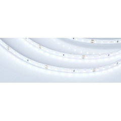 Светодиодная Лента RT-A98-8mm 24V Cool 8K (10 W/m, IP20, 2835, 5m) (Arlight, 10 Вт/м, IP20)