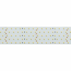 Светодиодная Лента RT 2-2500 24V Cool 8K 5x2 (2835, 875 LED, LUX) (Arlight, 36 Вт/м, IP20)