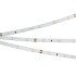 Светодиодная Лента RT 2-5000 24V Cool 8K 0.5x (3528, 150 LED, LUX) (Arlight, 2.9 Вт/м, IP20)