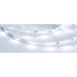 Светодиодная Лента RT 2-5000 24V Cool 8K 0.5x (3528, 150 LED, LUX) (Arlight, 2.9 Вт/м, IP20)