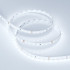 Светодиодная Лента RT 2-5000 24V Cool 8K 1.6x (2835, 490 LED, PRO) (Arlight, 10 Вт/м, IP20)