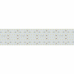 Светодиодная Лента S2-2500 24V Warm 2700K 85mm (2835, 560 LED/m, LUX) (Arlight, 40 Вт/м, IP20)