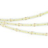 Светодиодная Лента ULTRA-C180-10mm 24V Day5000 (19.2 W/m, IP20, 5630, 5m) (Arlight, высок.эфф.200 лм/Вт)