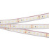 Светодиодная Лента герметичная RTW-PFS-A120-11mm 24V White6000 (9.6 W/m, IP68, 2835, 5m) (Arlight, 9.6 Вт/м, IP68)