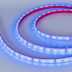 Светодиодная Лента герметичная RTW-PFS-A60-11mm 12V Blue (4.8 W/m, IP68, 2835, 5m) (Arlight, -)