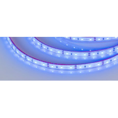 Светодиодная Лента герметичная RTW-PFS-A60-11mm 12V Blue (4.8 W/m, IP68, 2835, 5m) (Arlight, -)