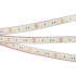 Светодиодная Лента герметичная RTW-PFS-B60-13mm 12V Warm3000 (14.4 W/m, IP68, 5060, 5m) (Arlight, -)