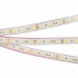 Светодиодная Лента герметичная RTW-PFS-B60-13mm 12V Warm3000 (14.4 W/m, IP68, 5060, 5m) (Arlight, -)