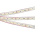 Светодиодная Лента герметичная RTW-PFS-B60-13mm 12V Warm3000 (14.4 W/m, IP68, 5060, 5m) (Arlight, -)