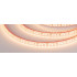 Светодиодная Лента герметичная RTW-PS-A120-10mm 12V Warm3000 (9.6 W/m, IP67, 2835, 5m) (Arlight, 9.6 Вт/м, IP67)